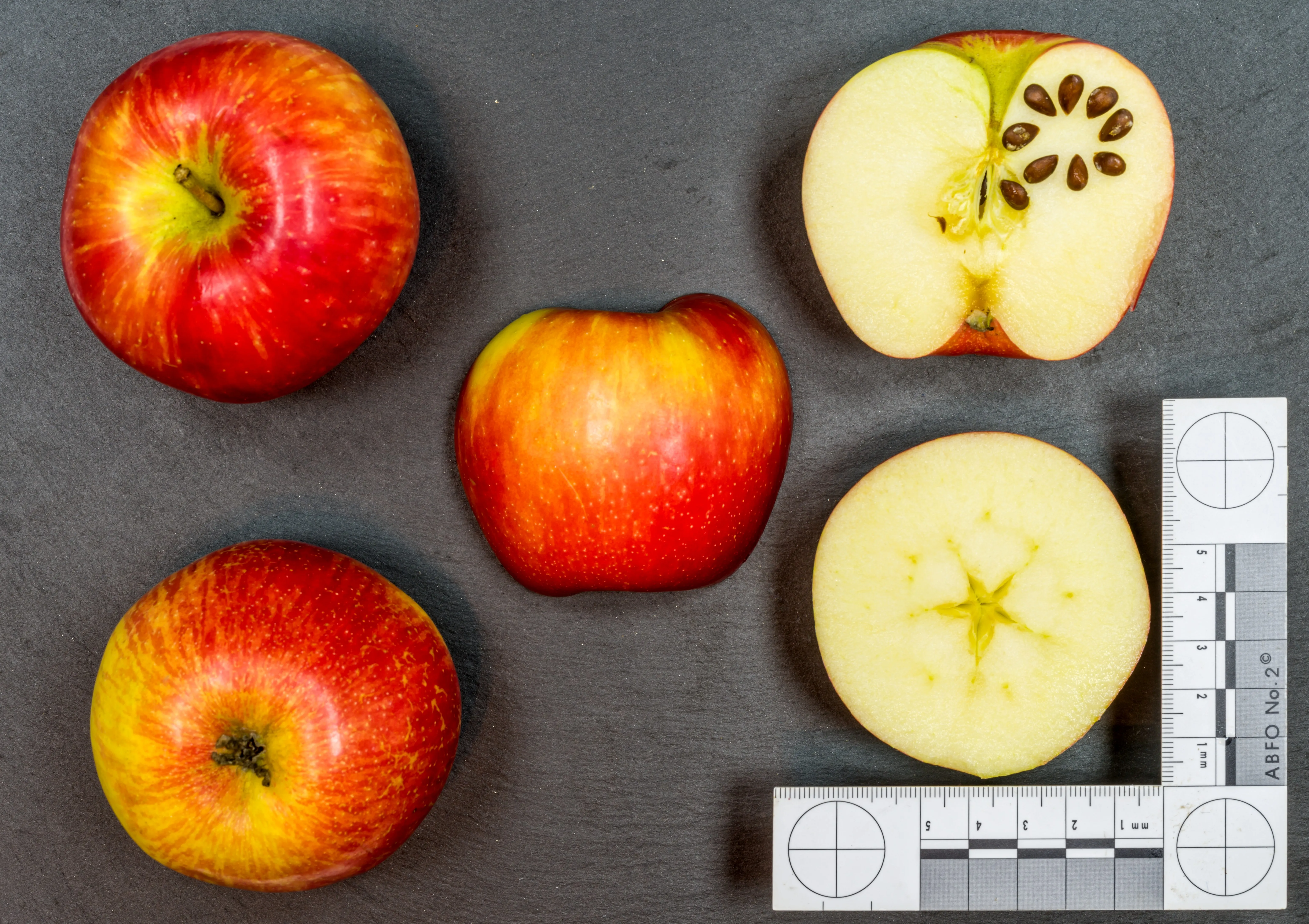 Image 3 of Honeycrisp