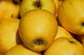 Image 2 of Golden Delicious