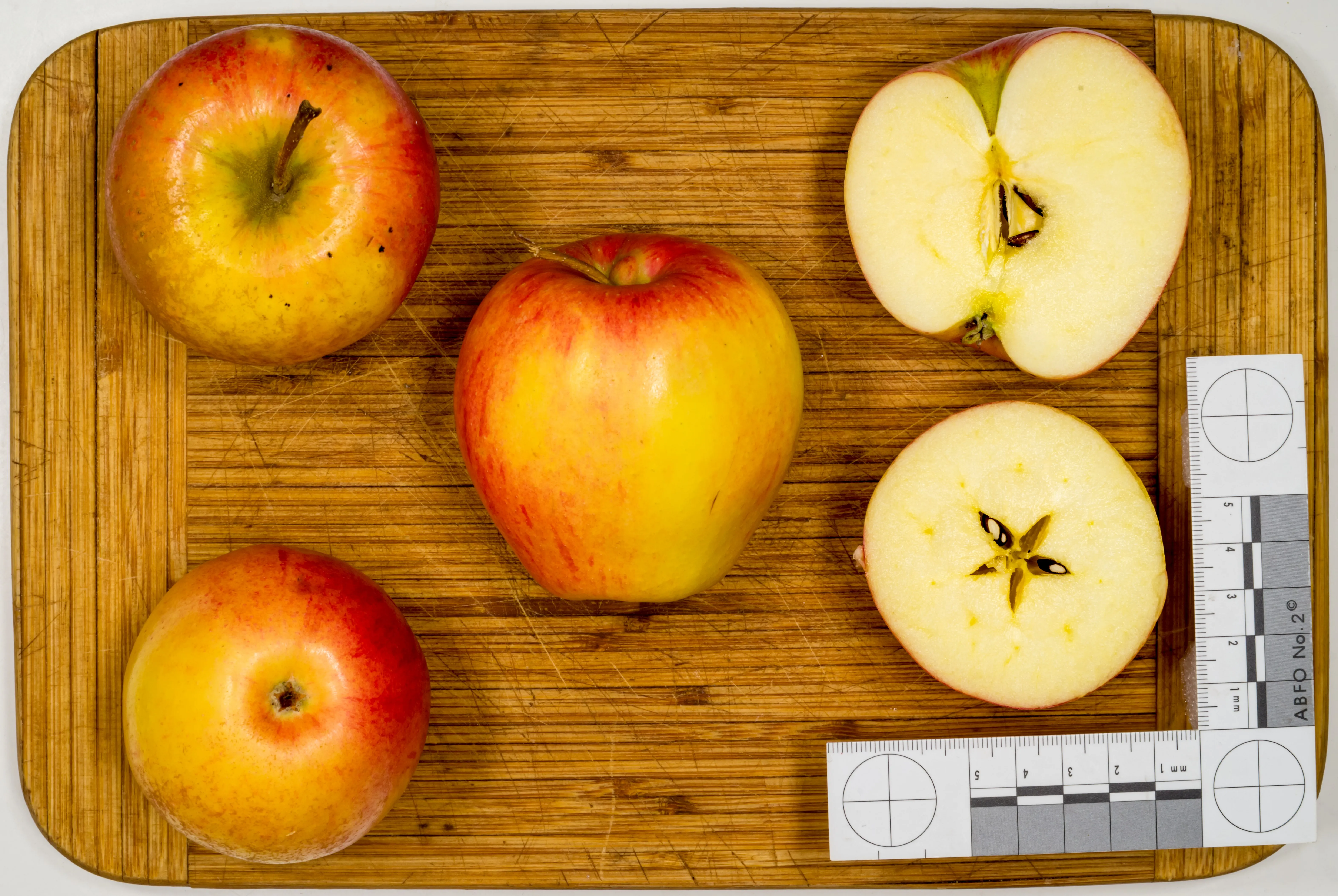 Image 1 of Pinova (Piñata)