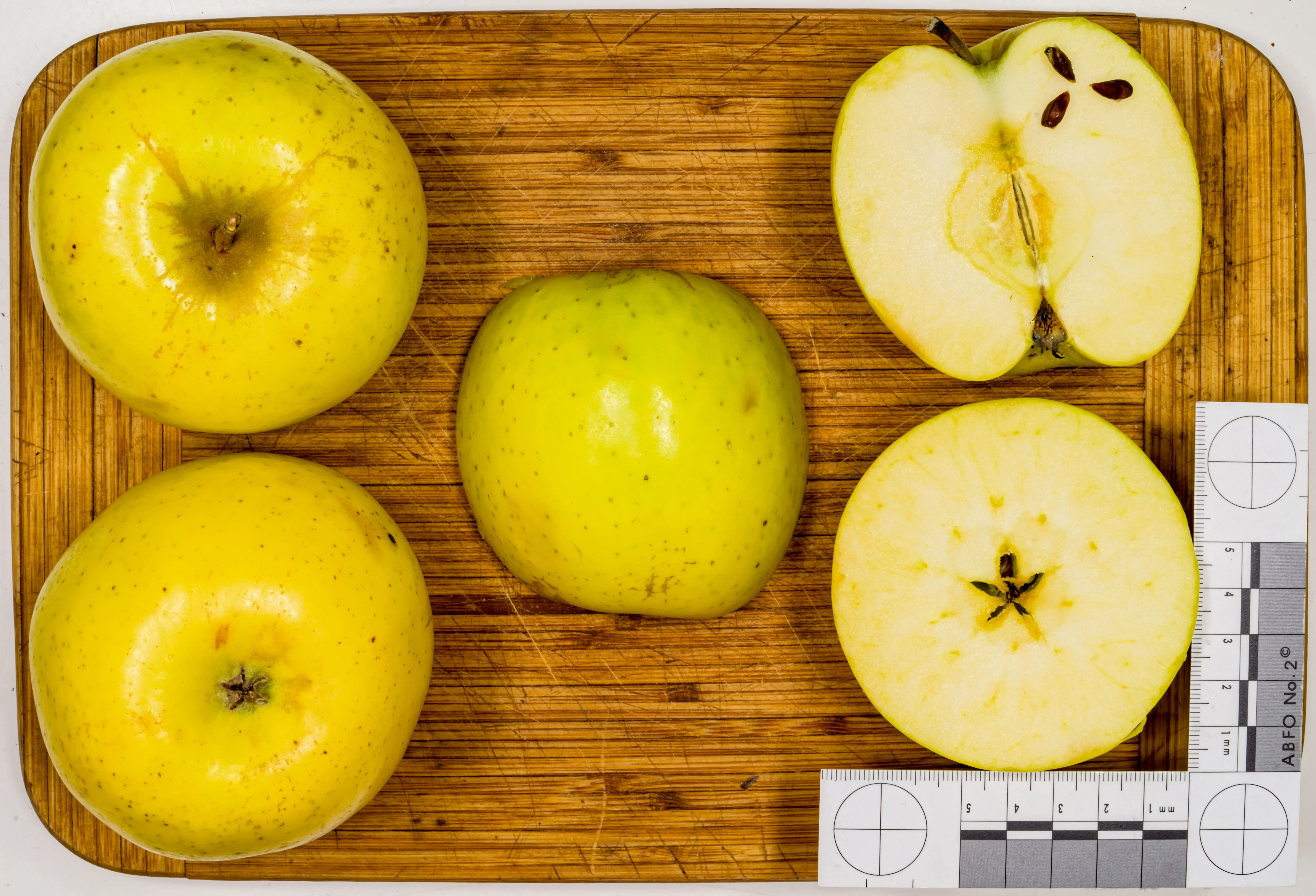 Image 2 of Mutsu (Crispin)