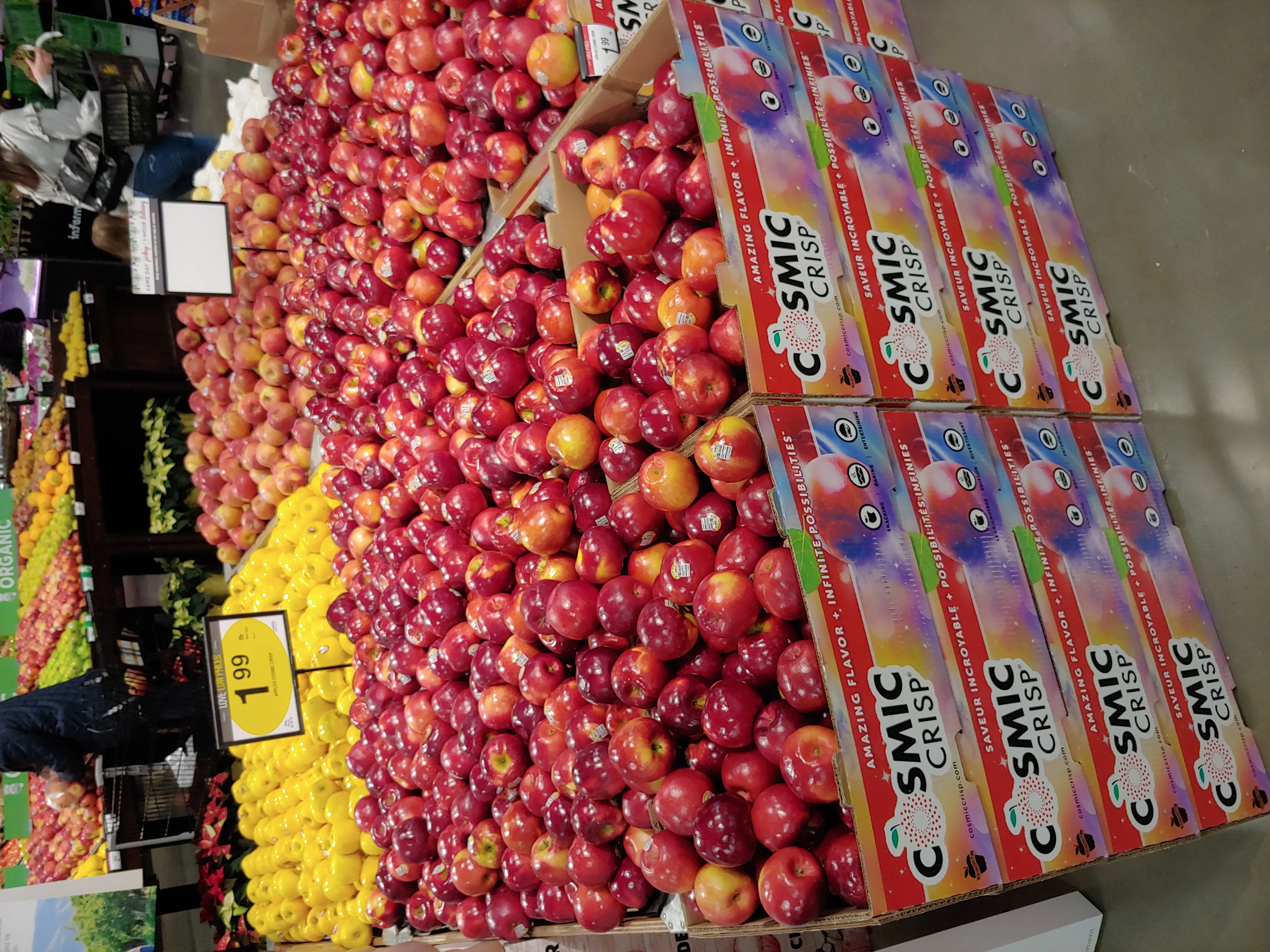 Image 3 of Cosmic Crisp