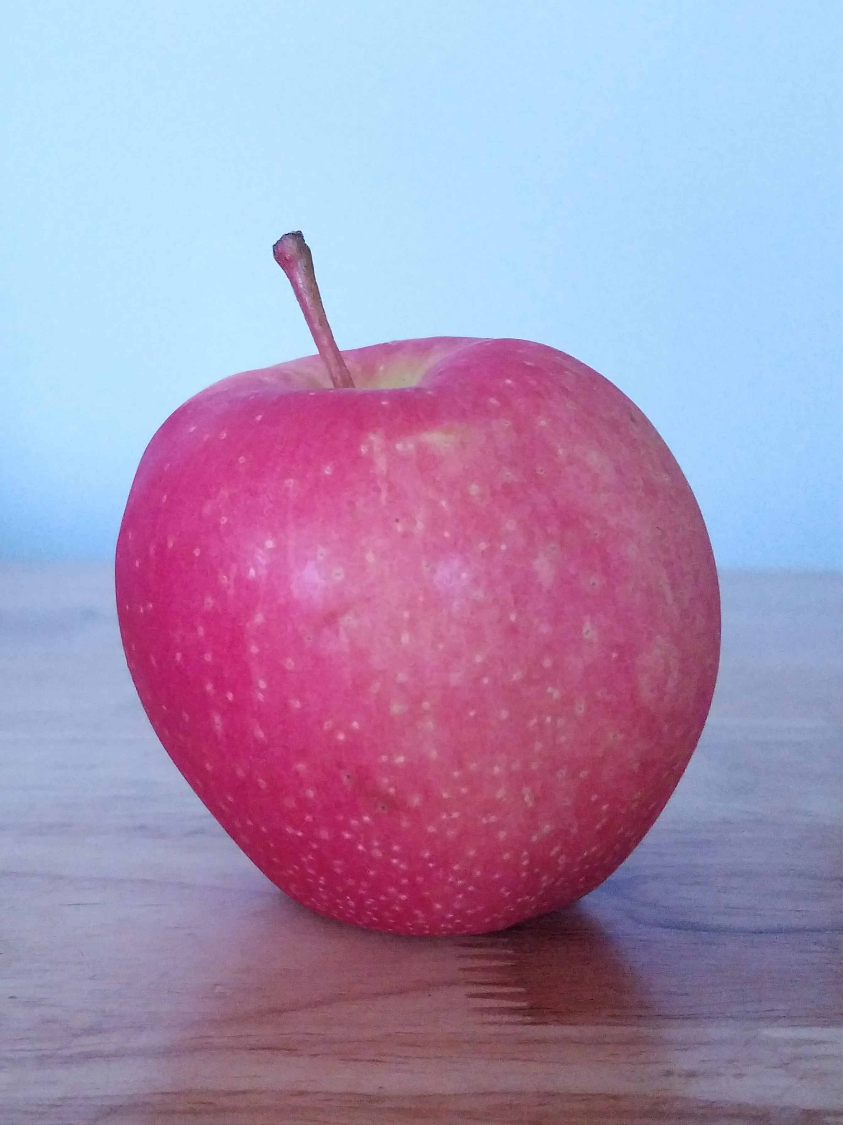 Image 1 of Wild Twist