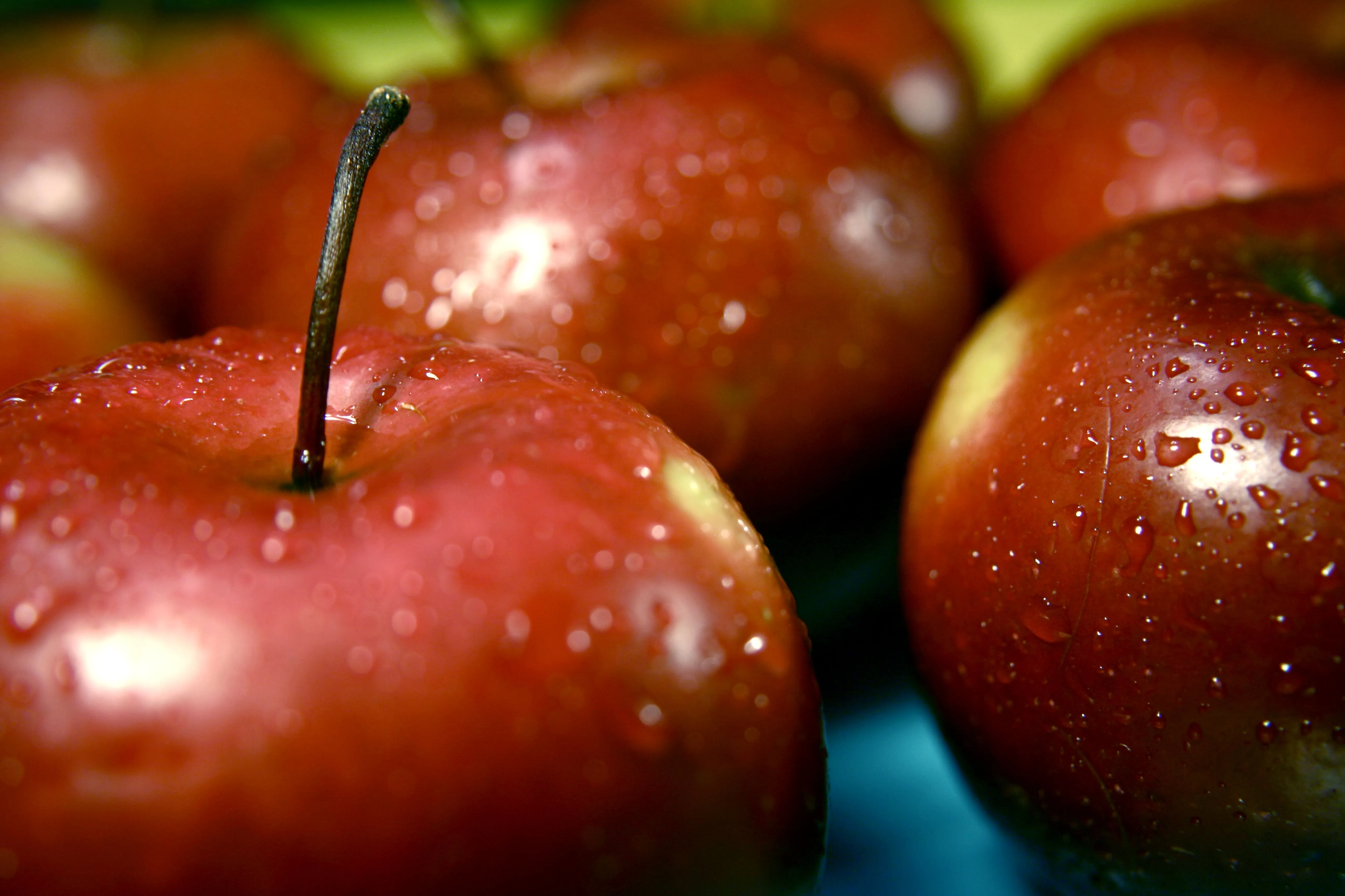 Image 3 of Rome (Rome Beauty)