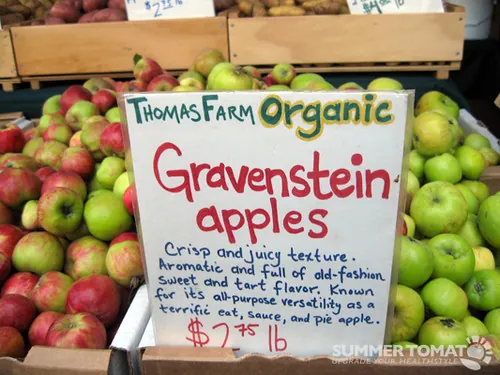 Image 3 of Gravenstein